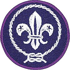 worldscoutcrest.jpg
